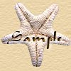 Sample Button