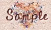 Sample Button