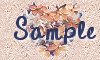 Sample Button