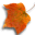 autumn leaf